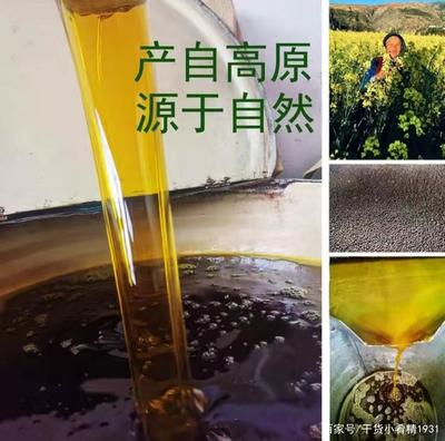 金色門(mén)源 北方最大的油菜花海與中國(guó)菜籽油之鄉(xiāng)